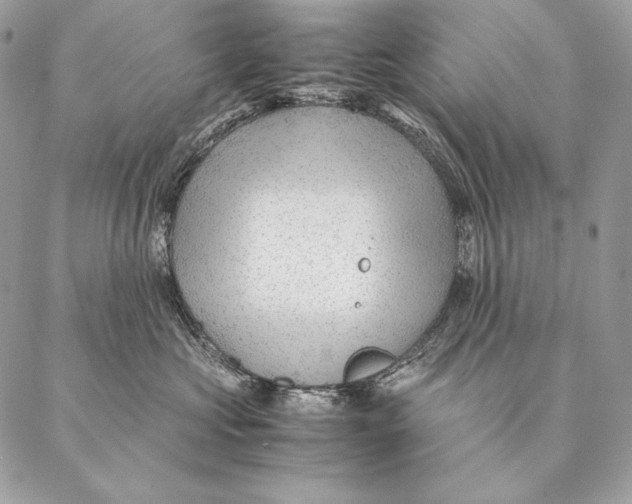 X0000087390573200705111803