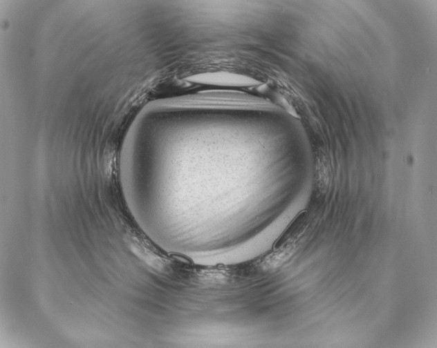 X0000087390574200705111804