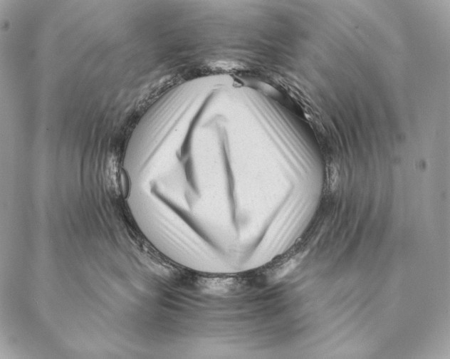 X0000087390575200705111804