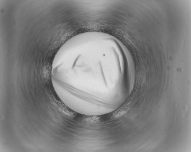 X0000087390576200705111804