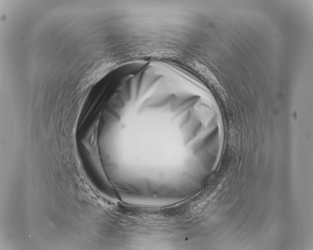 X0000087390577200705111803