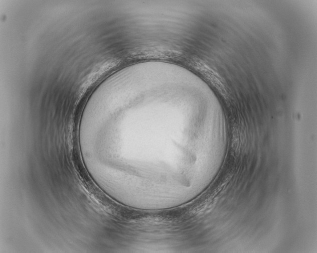 X0000087390578200705111803