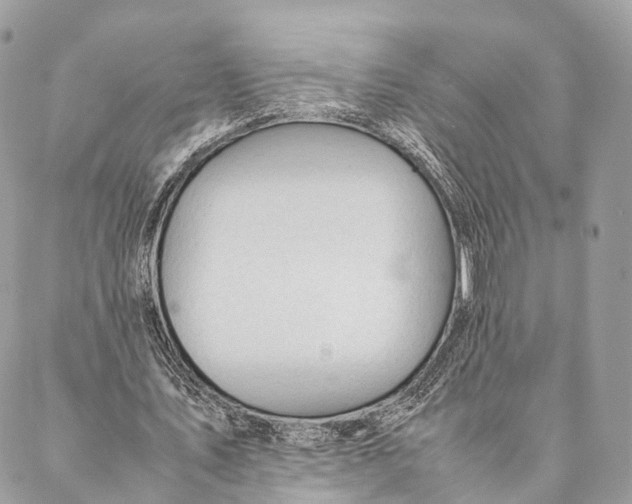 X0000087390579200705111803