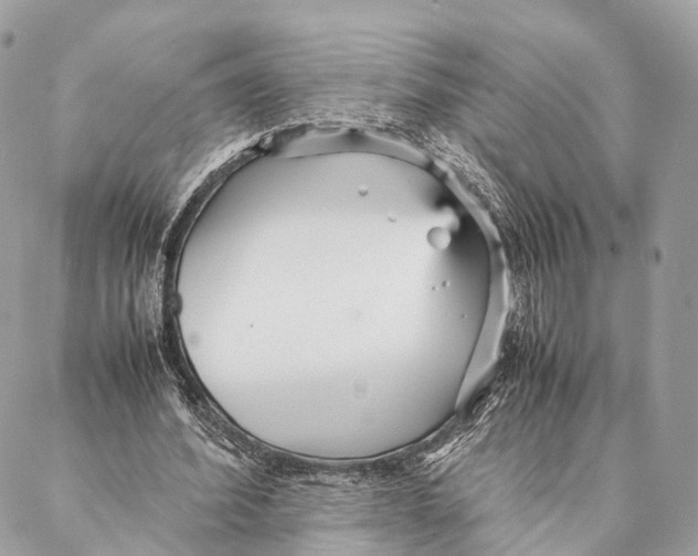 X0000087390580200705111803