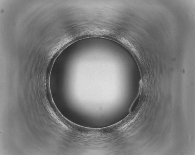 X0000087390581200705111803