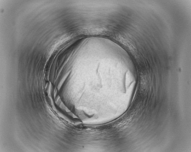 X0000087390582200705111803