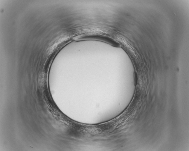 X0000087390583200705111803