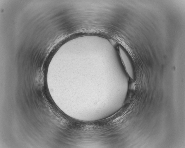 X0000087390584200705111803