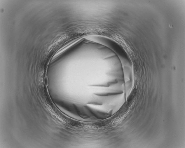 X0000087390585200705111803