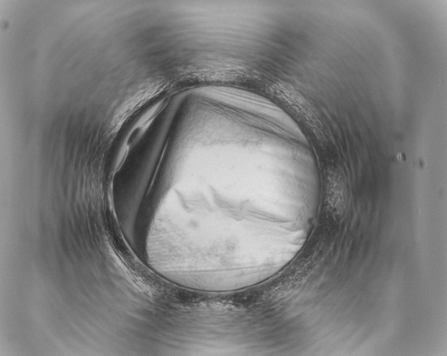 X0000087390586200705111803