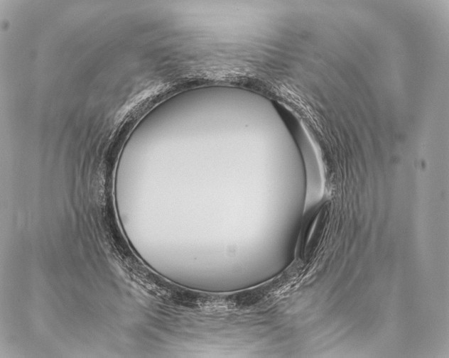 X0000087390587200705111803