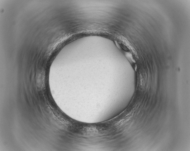 X0000087390588200705111803