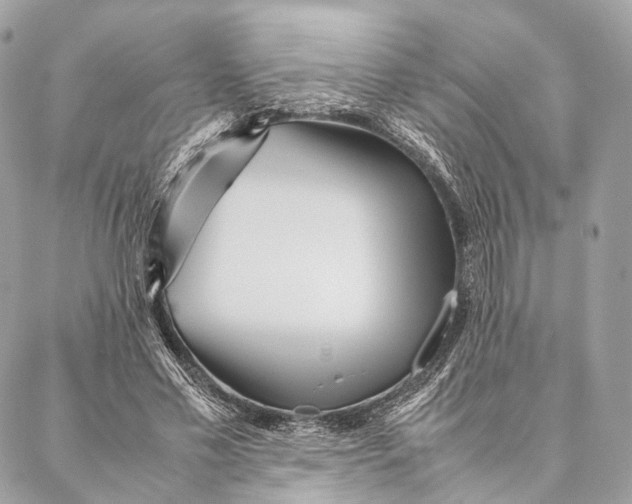 X0000087390589200705111803