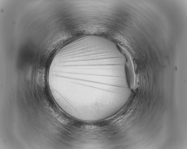 X0000087390590200705111803