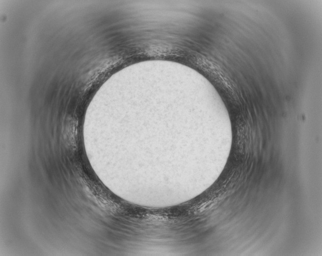 X0000087390592200705111803