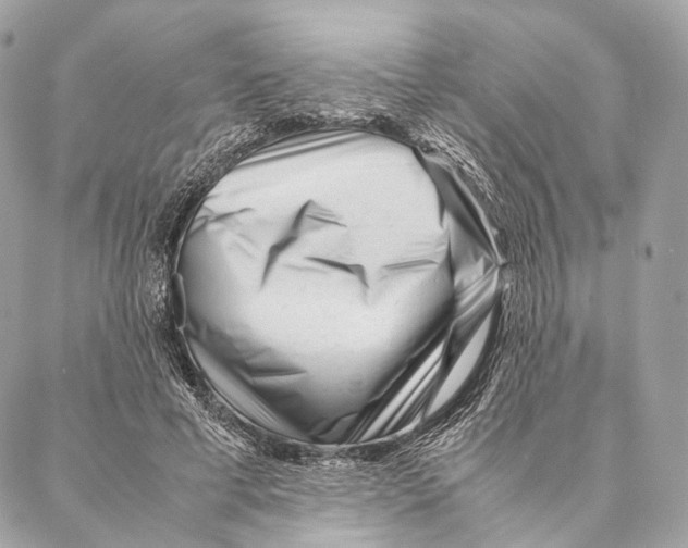 X0000087390593200705111802