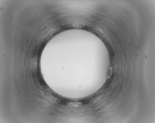 X0000087390595200705111802