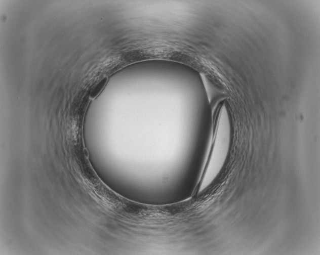 X0000087390597200705111802