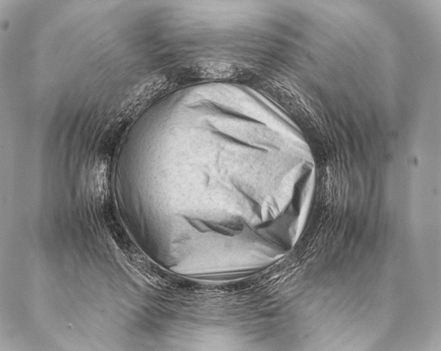 X0000087390598200705111802