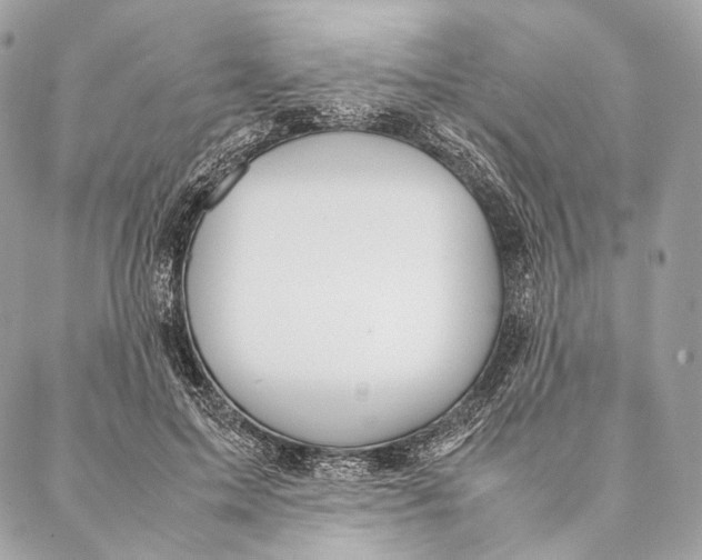 X0000087390599200705111802