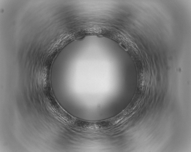 X0000087390600200705111802