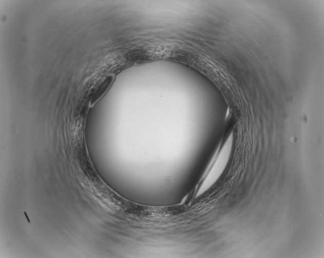 X0000087390601200705111802