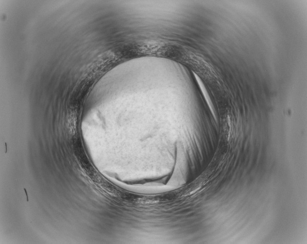 X0000087390602200705111802