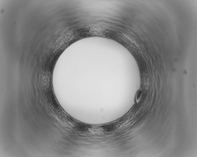 X0000087390603200705111802