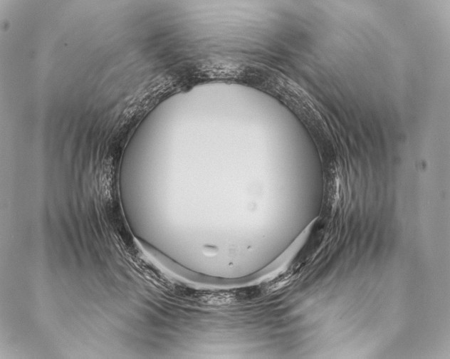 X0000087390604200705111802