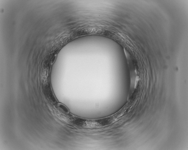 X0000087390605200705111802