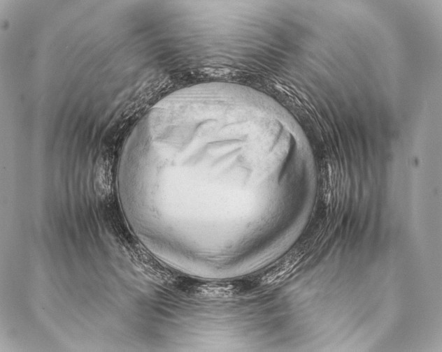 X0000087390606200705111802