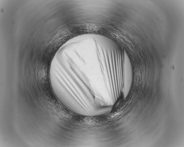 X0000087390608200705111802