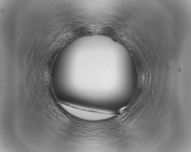 X0000087390609200705111802