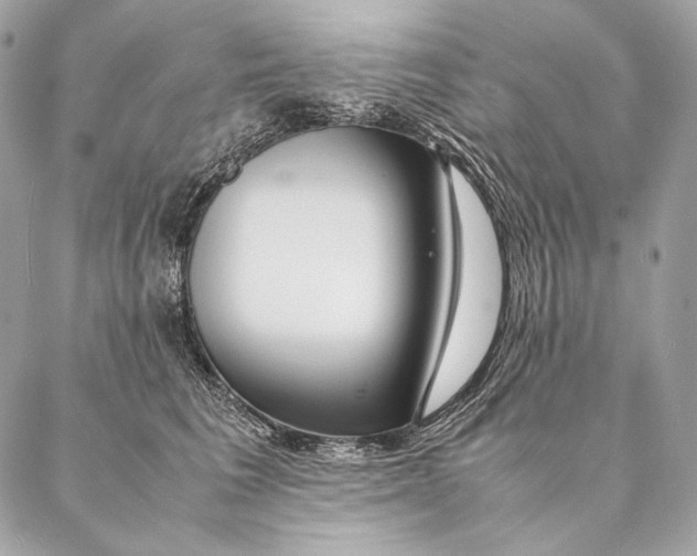 X0000087390613200705111802