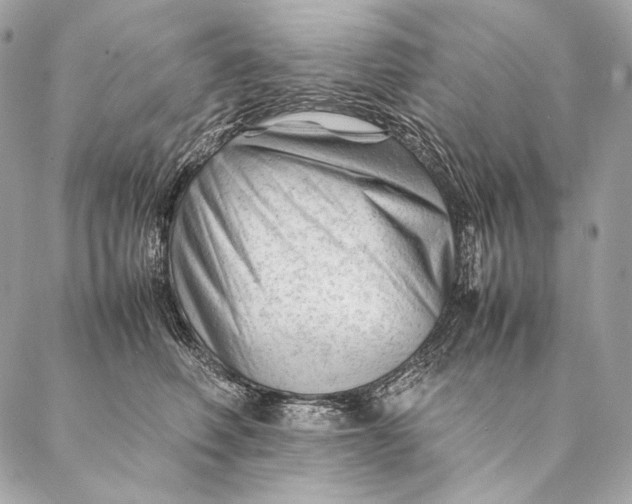 X0000087390614200705111802