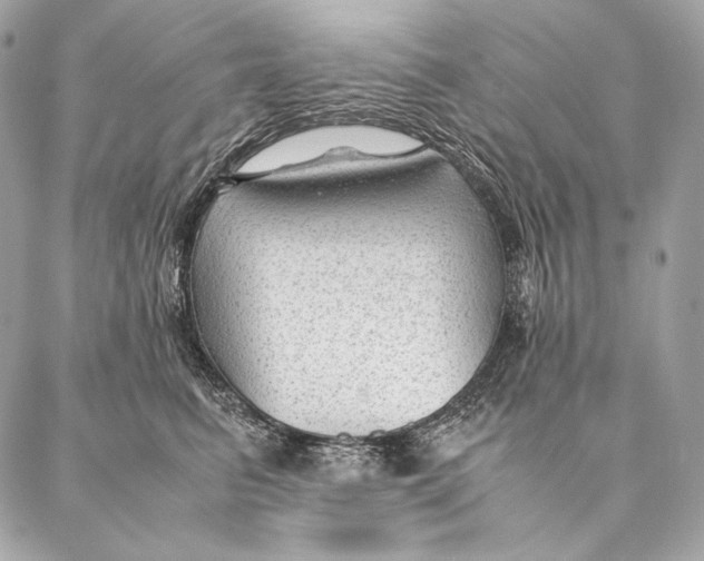 X0000087390615200705111802