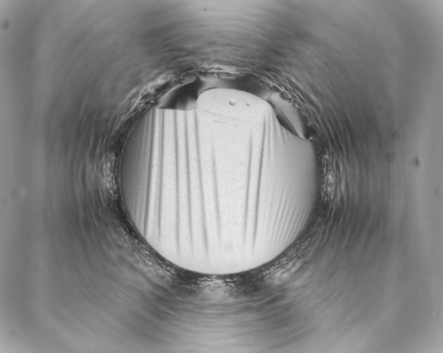 X0000087390616200705111802