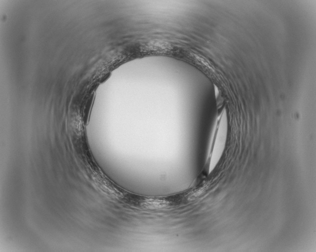 X0000087390617200705111802