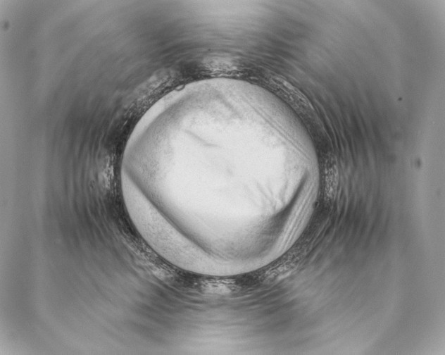 X0000087390618200705111802