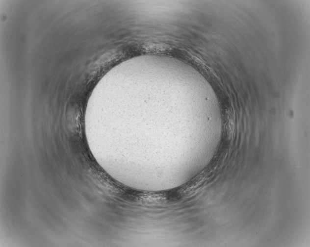 X0000087390619200705111802