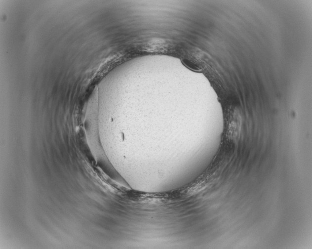 X0000087390620200705111802