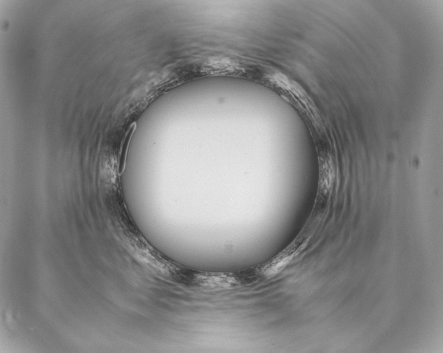 X0000087390621200705111802