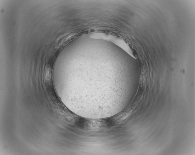 X0000087390623200705111802