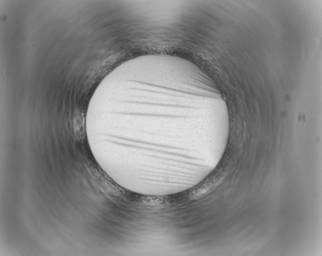 X0000087390624200705111802