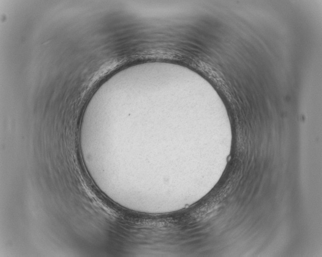 X0000087390625200705111801