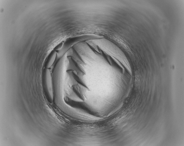 X0000087390626200705111801