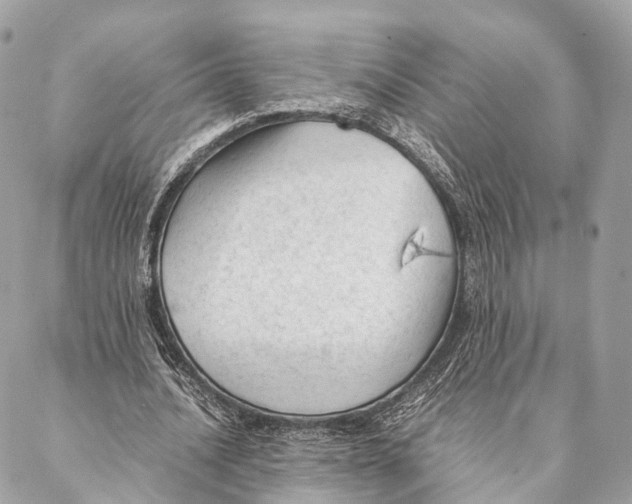 X0000087390628200705111801