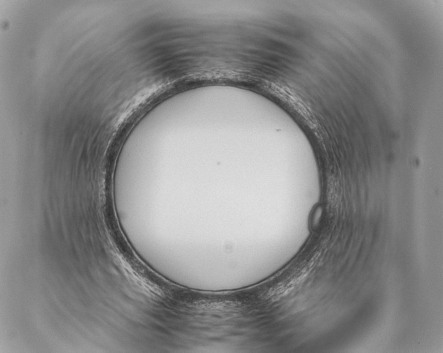 X0000087390629200705111801