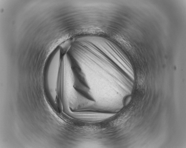 X0000087390630200705111801