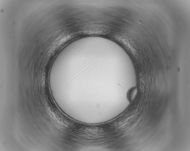 X0000087390631200705111801